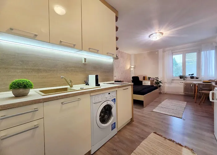 Cozy And Modern - Free Parking * ブラチスラヴァ